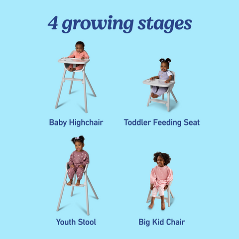 Ready2Dine™ 4-in-1 Highchair