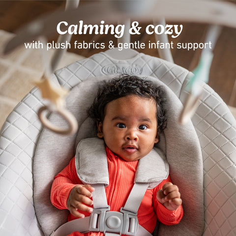 DuetConnect™ LX Baby Swing and Bouncer